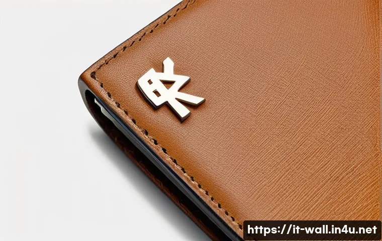 DKNY 모노그램 카드지갑 리뷰 관련 이미지 1